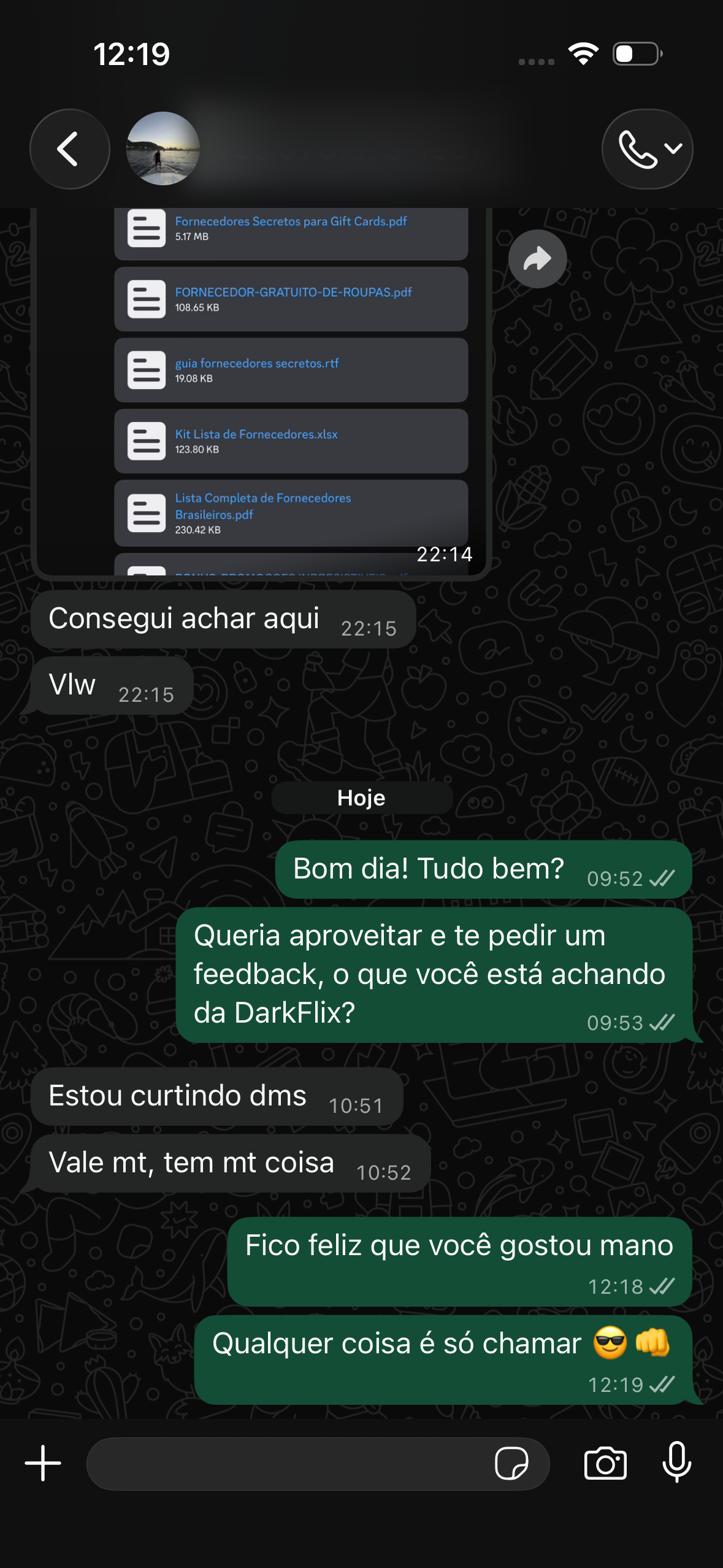 Depoimento 1 de um membro da DarkFlix no WhatsApp